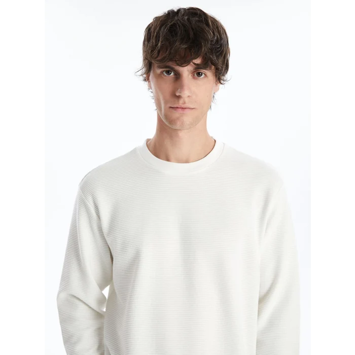 LCW Vision Ekru Bisiklet Yaka Uzun Kollu Erkek Dokulu Sweatshirt