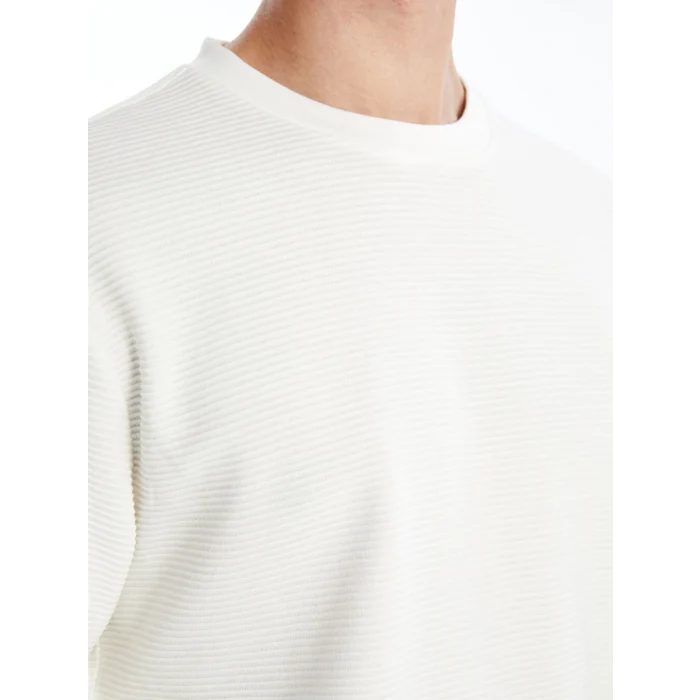 LCW Vision Ekru Bisiklet Yaka Uzun Kollu Erkek Dokulu Sweatshirt