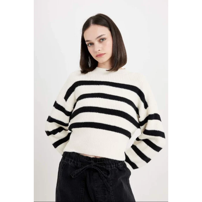 R1285 Regular Fit Çizgili Bisiklet Yaka Triko Kazak