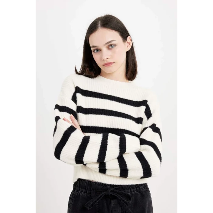 R1285 Regular Fit Çizgili Bisiklet Yaka Triko Kazak