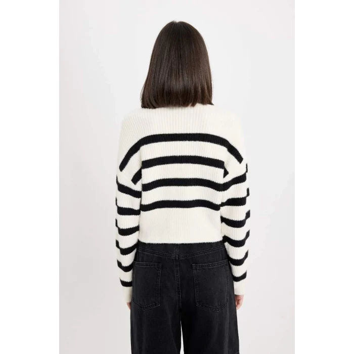 R1285 Regular Fit Çizgili Bisiklet Yaka Triko Kazak