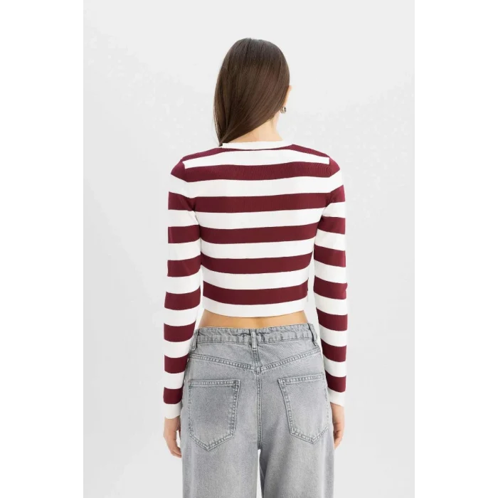 X6888 Coool Slim Fit Dar Kesim Çizgili Bisiklet Yaka Triko Kazak