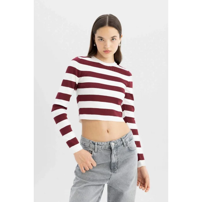 X6888 Coool Slim Fit Dar Kesim Çizgili Bisiklet Yaka Triko Kazak