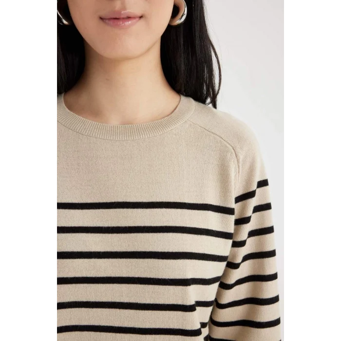 Z1317 Regular Fit Bisiklet Yaka Çizgili Kazak