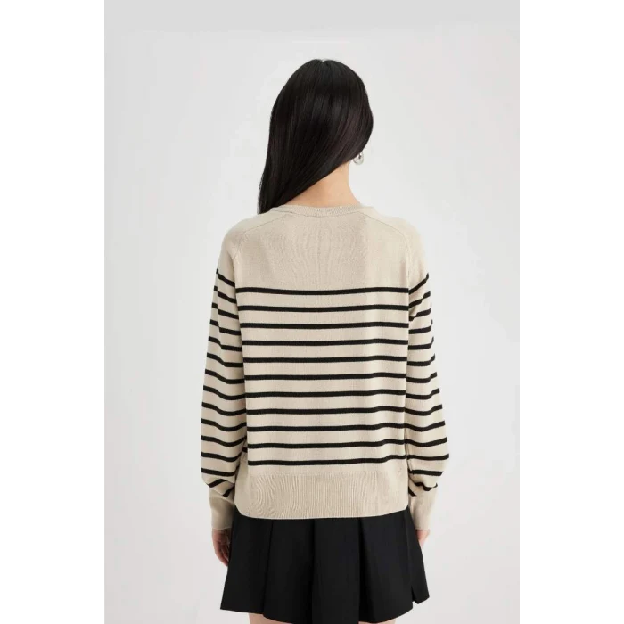 Z1317 Regular Fit Bisiklet Yaka Çizgili Kazak