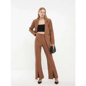 LCW Vision KAHVERENGİ Kadın Standart Fit Düz Pantolon