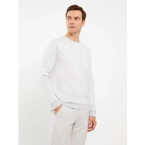 LCWAIKIKI Classic BEJ Bisiklet Yaka Uzun Kollu Baskılı Erkek Kalın Sweatshirt