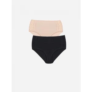 LCW DREAM PEMBE Yüksek Bel Dantel Detaylı Klasik Külot 2li Paket