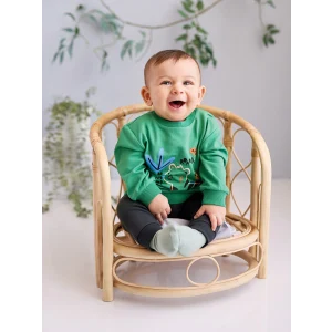 LCW baby YEŞİL Bisiklet Yaka Baskılı Erkek Bebek Sweatshirt ve Eşofman Alt 2li