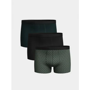 LC WAIKIKI Yeşil Standart Kalıp Pamuklu Esnek Erkek Boxer 3lü
