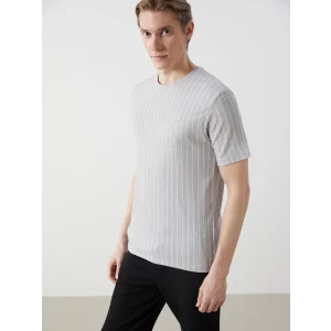 LCW Vision Gri Bisiklet Yaka Kısa Kollu Çizgili Erkek Dokulu Tişört