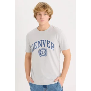 Defacto D5576 Gri %100 Pamuk Regular Fit Bisiklet Yaka Baskılı Kısa Kollu Tişört