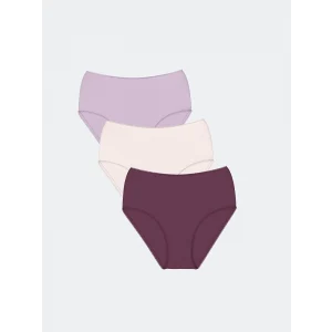 LCW DREAM Mürdüm Düz Klasik Külot 3lü Paket