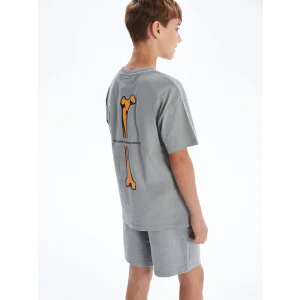 LCW Kids Gri Bisiklet Yaka Erkek Çocuk Tişört