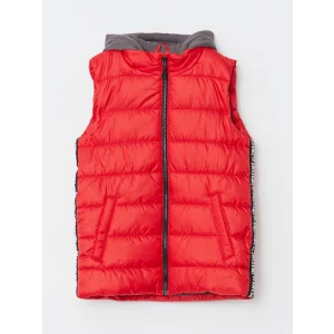 LCW Kids Kirmizi Kapüşonlu Baskılı Erkek Çocuk Şişme Yelek