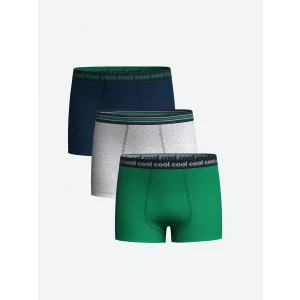 LCW Kids Yeşil Baskılı Erkek Çocuk Boxer 3lü