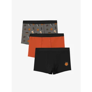 LCW Kids Gri Baskılı Erkek Çocuk Boxer 3lü