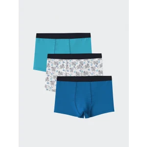 LCW Kids Beyaz Baskılı Erkek Çocuk Boxer 3lü