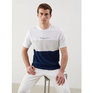 LCWAIKIKI Classic Lacivert Bisiklet Yaka Renk Bloklu Penye Erkek Tişört