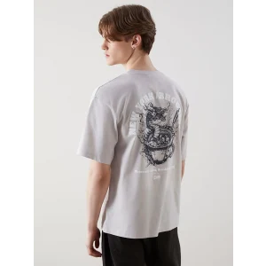 XSIDE Gri Bisiklet Yaka Baskılı Erkek Tişört