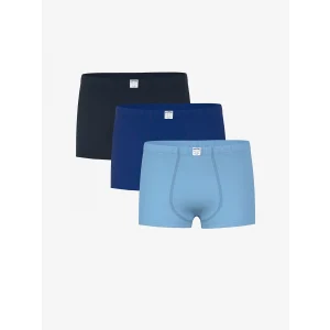 LCW Kids Lacivert Basic Erkek Çocuk Boxer 3lü