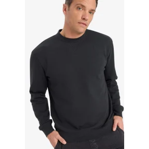Defacto E8339AXAR235 Antrasit %100 Pamuk Regular Fit Bisiklet Yaka Sweatshirt