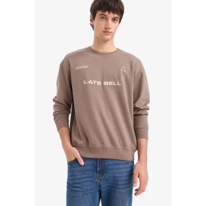 Defacto F0117AXBN571 Kahve %100 Pamuk Boxy Fit Bisiklet Yaka Nakışlı Sweatshirt