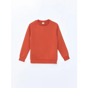 LCW Kids Kahverengi Bisiklet Yaka Erkek Çocuk Kalın Sweatshirt