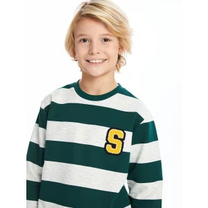 LCW Kids Yeşil Bisiklet Yaka Erkek Çocuk Sweatshirt