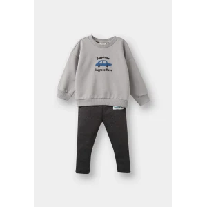 Defacto F1594A5GR52 Gri Erkek Bebek 2li Takım Araç Baskılı Sweatshirt Alt