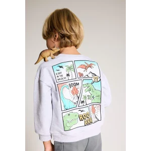 Defacto F5020A5GR396 Gri Erkek Bebek Bisiklet Yaka Dinozor Baskılı İçi Yumuşak Tüylü Sweatshirt