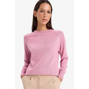 Defacto I6913AZPN141 Pembe Relax Fit Bisiklet Yaka Basic Düz Triko Kazak