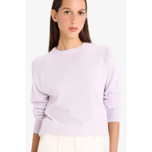 Defacto I6913AZPR462 Mor Relax Fit Bisiklet Yaka Basic Düz Triko Kazak