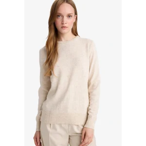 Defacto F4084AXBG300 Bej Regular Fit Bisiklet Yaka Triko Kazak