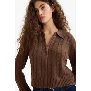 Defacto A3331AXBN319 Kahve Regular Fit Polo Yaka Fermuarlı Triko Hırka