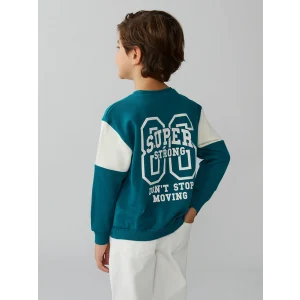LCW Kids Yeşil Bisiklet Yaka Baskılı Erkek Çocuk Sweatshirt