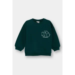 Defacto E9242A5GN671 Yeşil Erkek Bebek Bisiklet Yaka Baskılı İçi Yumuşak Tüylü Sweatshirt
