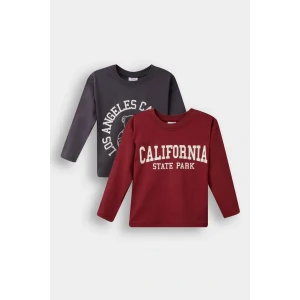 Defacto F3401A5AR1 Antrasit Erkek Bebek Bisiklet Yaka Baskılı 2li Uzun Kollu Tişört