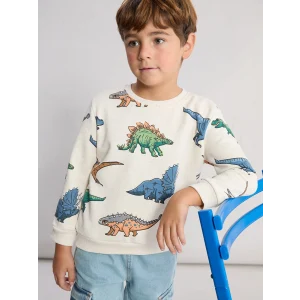 LCW Kids Karışık Dinazor Baskılı Erkek Çocuk Kalın Sweatshirt