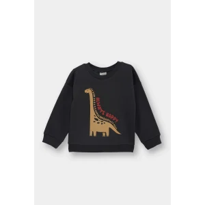 Defacto E9230A5AR1 Antrasit Erkek Bebek Bisiklet Yaka Dinozor Baskılı İçi Yumuşak Tüylü Sweatshirt