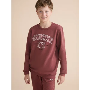 LCW Kids Kahverengi Bisiklet Yaka Erkek Çocuk Sweatshirt