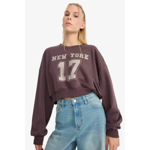 Defacto F8006AXBN549 Kahve Coool Crop Bisiklet Yaka Baskılı Kalın Sweatshirt