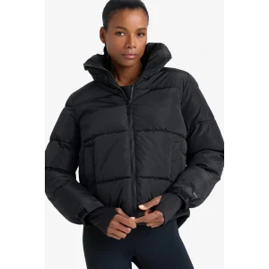 Defacto Z1438AZBK81 Siyah Defactofit Su İtici Regular Fit Dik Yaka Fermuarlı El Geçmeli Cepli Şişme Mont