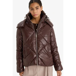 Defacto F2823AXBN530 Kahve Su Geçirmez Regular Fit Kapüşonlu Mont