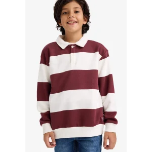 Defacto F5751A8BR303 Bordo Erkek Çocuk Polo Yaka Renk Bloklu Uzun Kollu Tişört