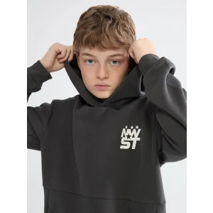 LCW Kids Antrasit Kapüşonlu Baskılı Erkek Çocuk Sweatshirt