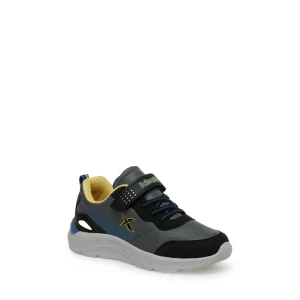 101387936 3F ROARS 3PR 213