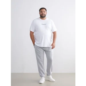 XSIDE Gri Standart Kalıp Erkek Jogger Eşofman Altı