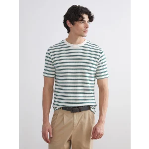 XSIDE Yeşil Bisiklet Yaka Çizgili Penye Erkek Tişört