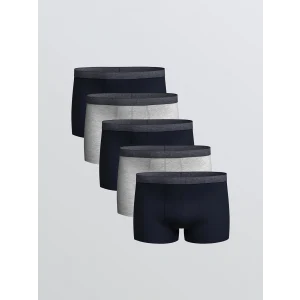 LC WAIKIKI Lacivert Standart Kalıp Pamuklu Esnek Erkek Boxer 5li